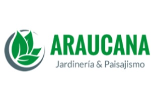 Araucana