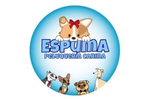 peluquerías caninas - Peluquería Canina Espuma