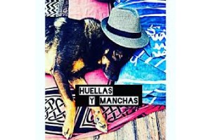 residencias caninas - Huellas y Manchas