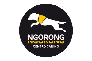 Ngorong-Ngorong