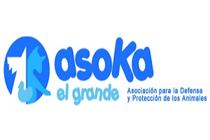Asoka El Grande, logo