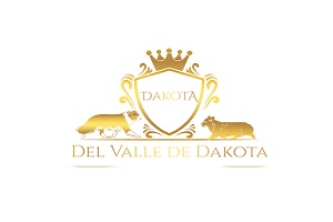 Corgi de Dakota, logo