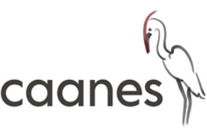 clínicas de fisioterapia animal - Caanes