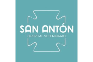 centros veterinarios 24h - Hospital Veterinario San Antón