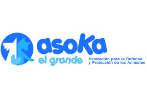 servicios de adopción de mascotas - Asoka El Grande