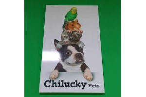 Chilucky Pets