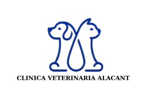 clínicas de fisioterapia animal - Clínica Veterinaria Alacant