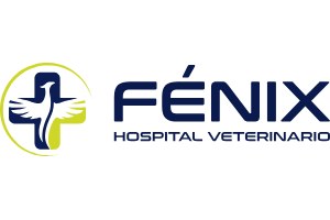 clínicas de fisioterapia animal - Hospital Veterinario Fénix