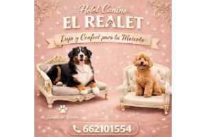 Residencia Canina El Realet
