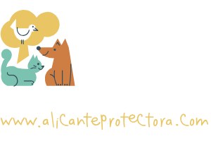 Protectora de Animales y Plantas de Alicante
