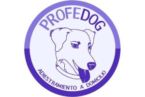 ProfeDog
