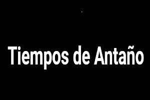 Antigüedades Tiempos de Antaño